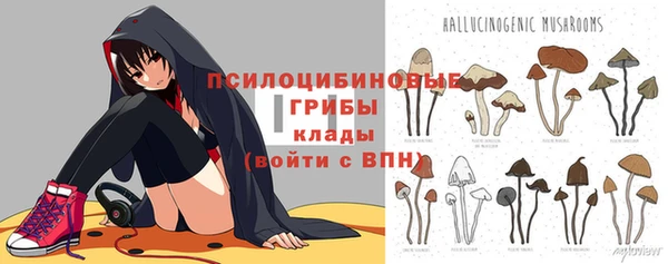 трава Абинск